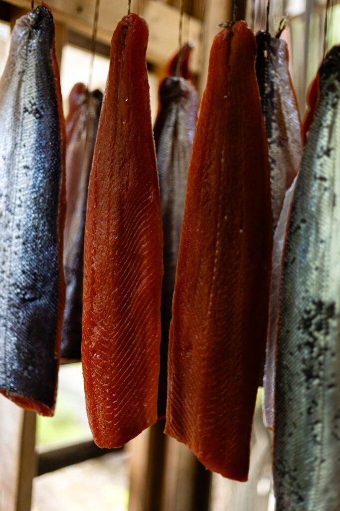 Strips of salmon fillets, freshly caught from the Skeena River, hang vertically to dry. Their reddish-orange flesh contrasts beautifully with the shimmering silver scales on their skin, capturing both the texture and the essence of fishing in this vibrant image. Skeena Adventure Fishing