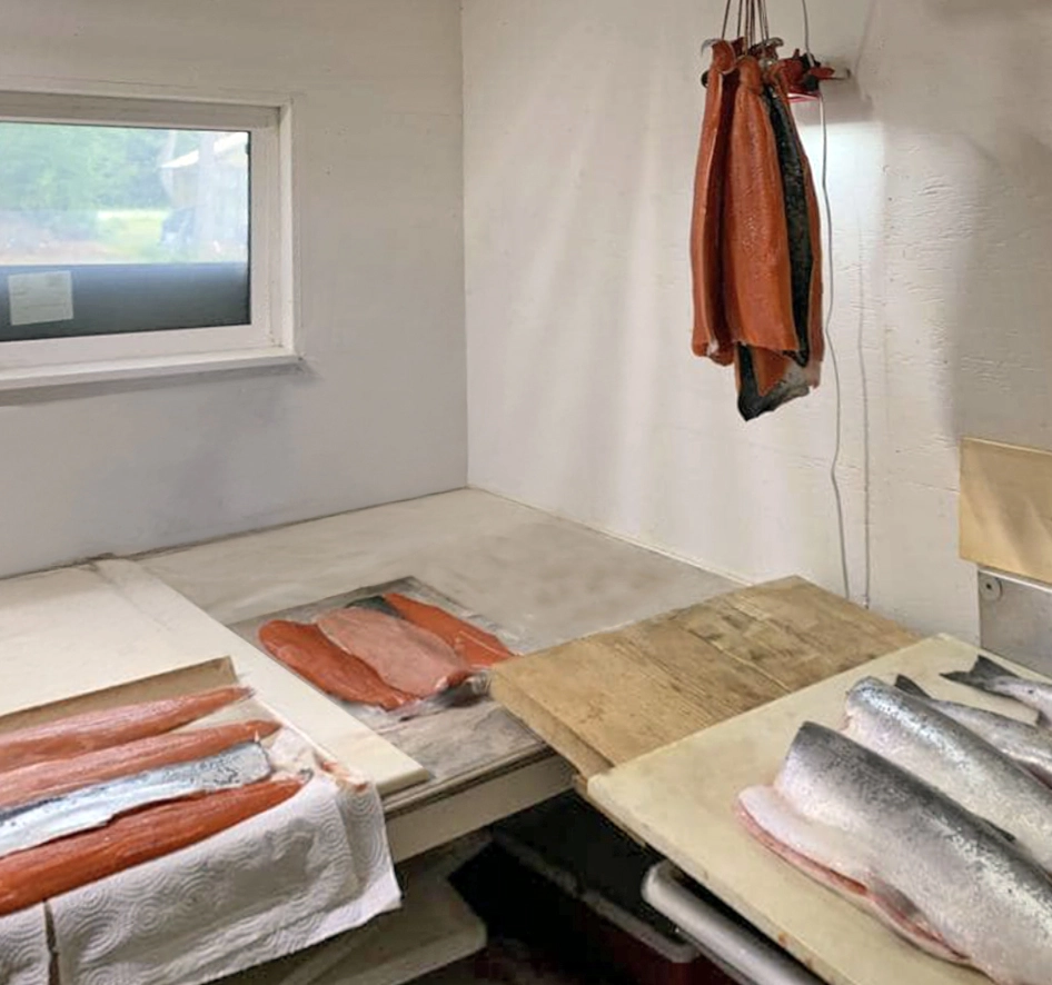 salmon sitting on the counter in a fish processing room