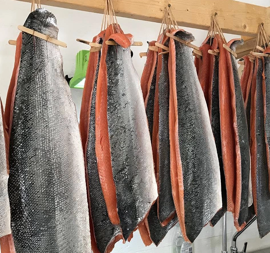 bunches of filleted salmon hangs in a fish processing room from a wooden rod